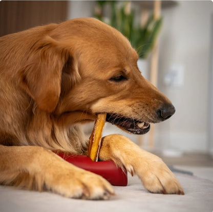 Bully Stick Safety Holder by Bully Bunches