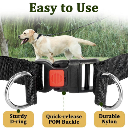 Mayerzon Dog Pinch Collar, Prong Collar for Large  Dogs, Adjustable No Pull Dog Collar with Quick Release Buckle, Packaged with Extra Prong Collar Links and Carabiner