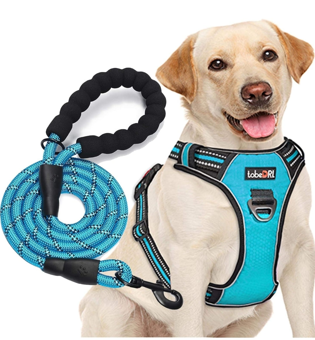 tobeDRI No Pull Dog Harness Adjustable Reflective Oxford Easy Control Medium Large Dog Harness with A Free Heavy Duty 5ft Dog Leash (S (Neck: 13"-18", Chest: 17.5"-22"), Blue Harness+Leash)