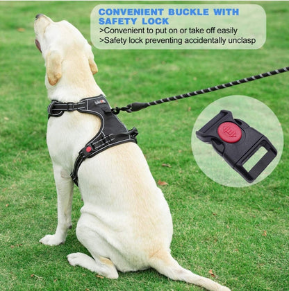 tobeDRI No Pull Dog Harness Adjustable Reflective Oxford Easy Control Medium Large Dog Harness with A Free Heavy Duty 5ft Dog Leash (S (Neck: 13"-18", Chest: 17.5"-22"), Blue Harness+Leash)