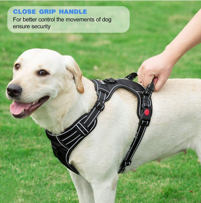 tobeDRI No Pull Dog Harness Adjustable Reflective Oxford Easy Control Medium Large Dog Harness with A Free Heavy Duty 5ft Dog Leash (S (Neck: 13"-18", Chest: 17.5"-22"), Blue Harness+Leash)