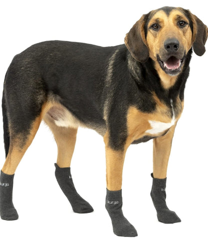 Kurgo Blaze Dog Socks - Stretch Socks for Dog Shoes - Makes Putting On Dog Shoes Easier - Pet Socks for Outdoors - Heel Tab, Fast Drying Fabric, Secure Fit - Large