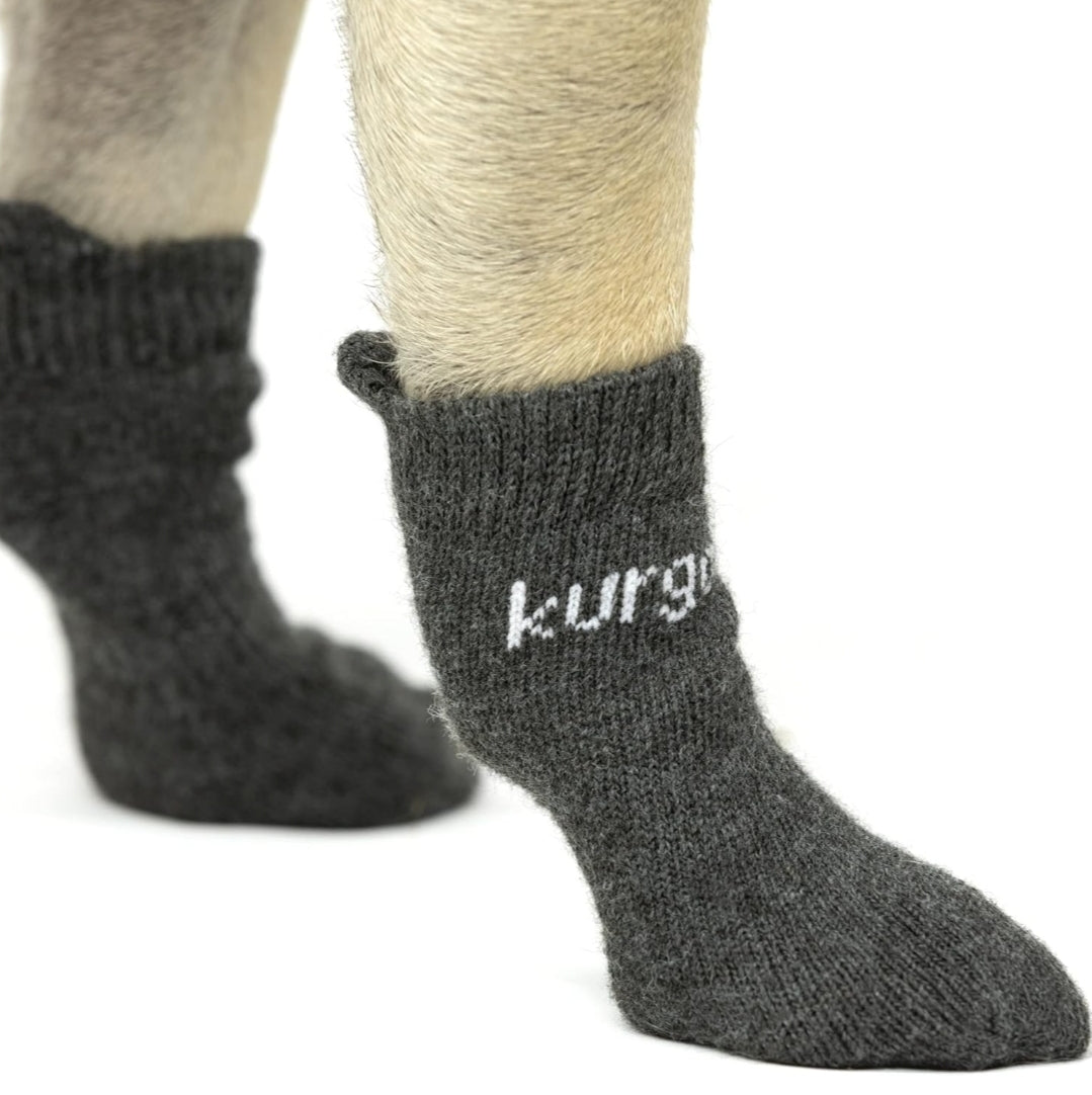 Kurgo Blaze Dog Socks - Stretch Socks for Dog Shoes - Makes Putting On Dog Shoes Easier - Pet Socks for Outdoors - Heel Tab, Fast Drying Fabric, Secure Fit - Large