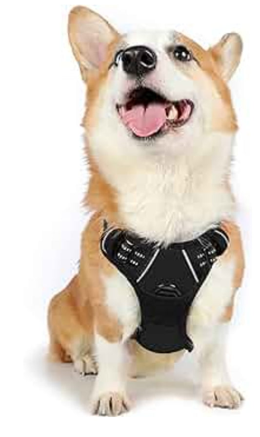 Rabbitgoo Dog Harness, No-Pull Pet Harness with 2 Leash Clips, Adjustable Soft Padded Dog Vest, Reflective No-Choke Pet Oxford Vest with Easy Control Handle