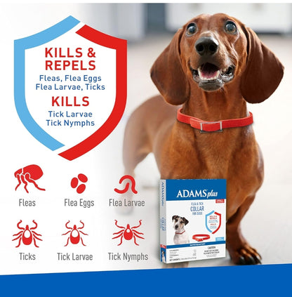 Adams Plus Flea & Tick Collar for Dogs, 7-Month Protection, Adjustable Collar Fits Small Dogs & Puppies, Kills & Repels Fleas, Flea Eggs, Flea Larvae, and Ticks, Kills Tick Larvae and Tick Nymphs