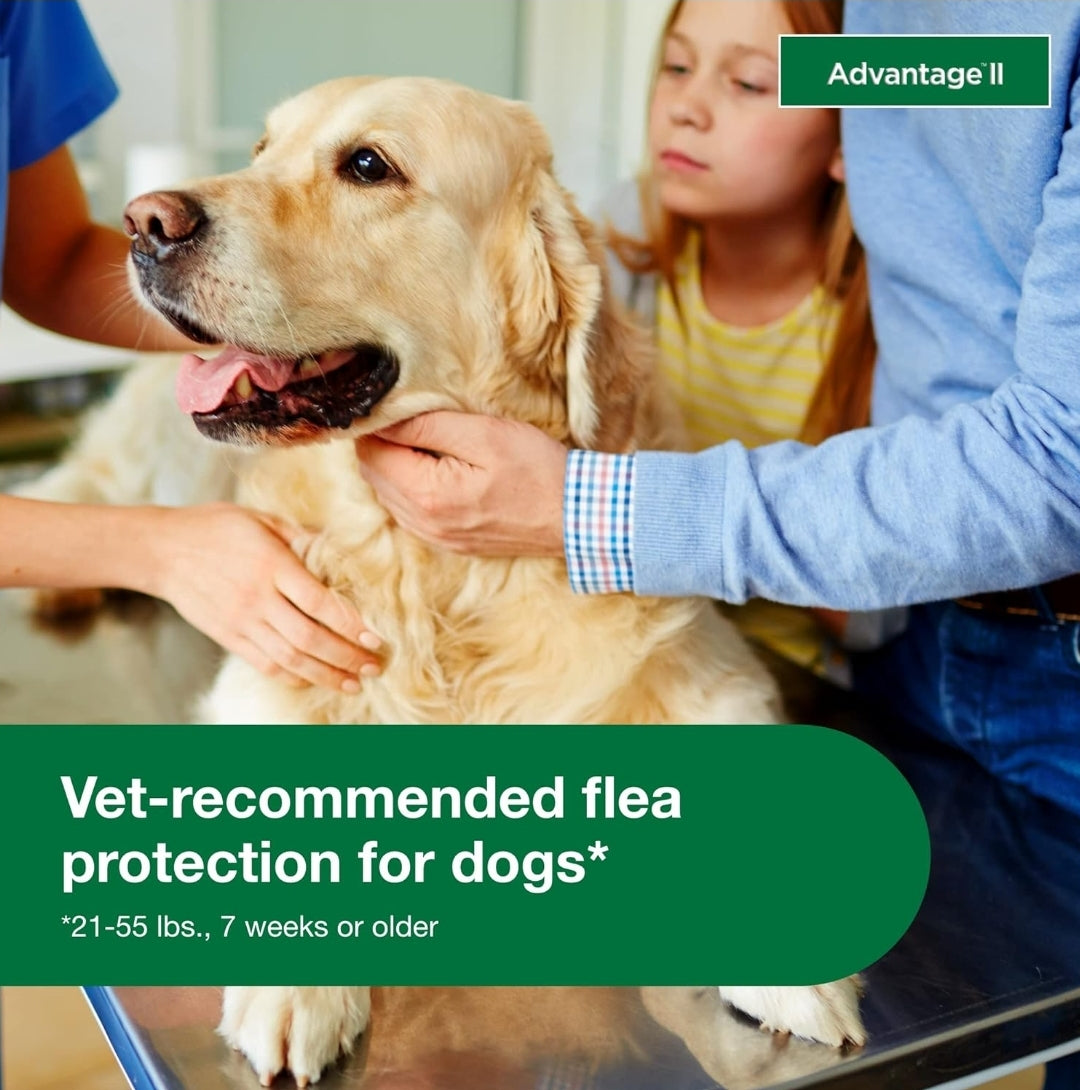 Advantage II Large Dog Vet-Recommended Flea Treatment & Prevention | Dogs 21-55 lbs. | 4-Month Supply