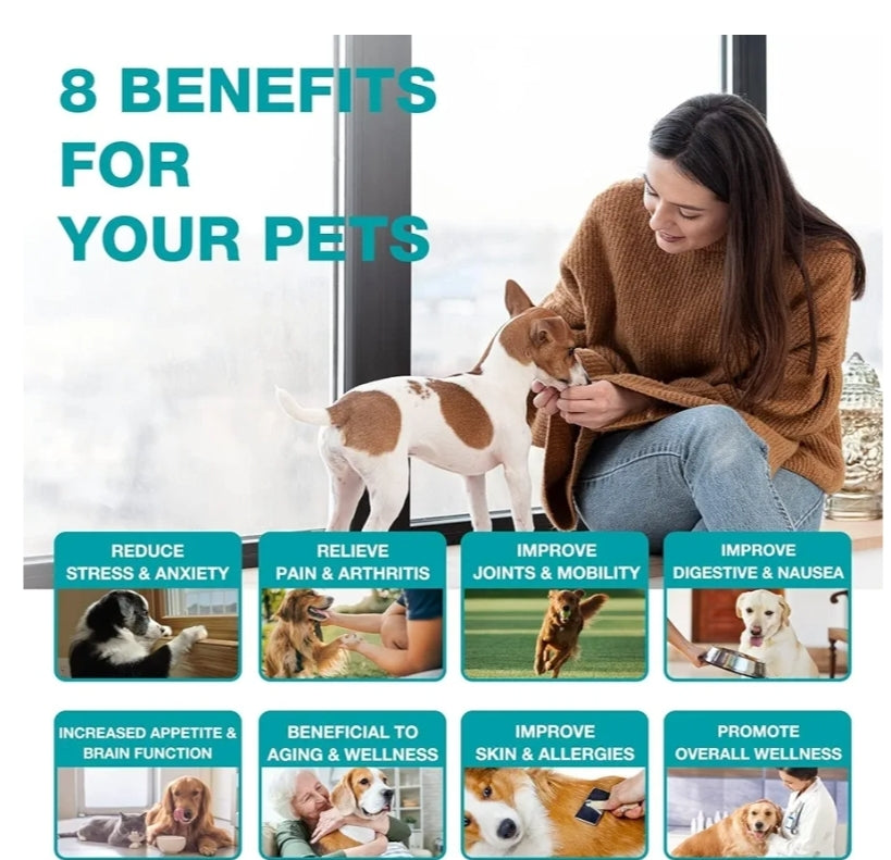 Pet Hemp Oil for Dogs and Cats- Anxiety, Stress Pain Holistic Inflammation Relief - for Joint Hip Аrthritis, Calming Oil Drop, Organic Pets Treats