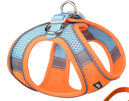 AIITLE Step in Dog Harness and Leash Set - Summer No Pull Escape Proof Vest Harnesses with Soft Mesh and Reflective Bands, Adjustable Pet Outdoor Harnesses for Small and Medium Dogs Orange M