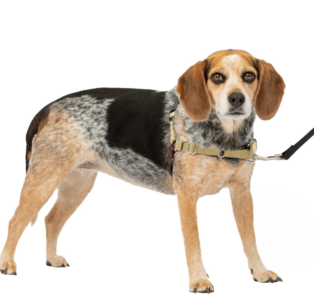 Petsafe Easy Walk Harness, No Pull Dog Harness