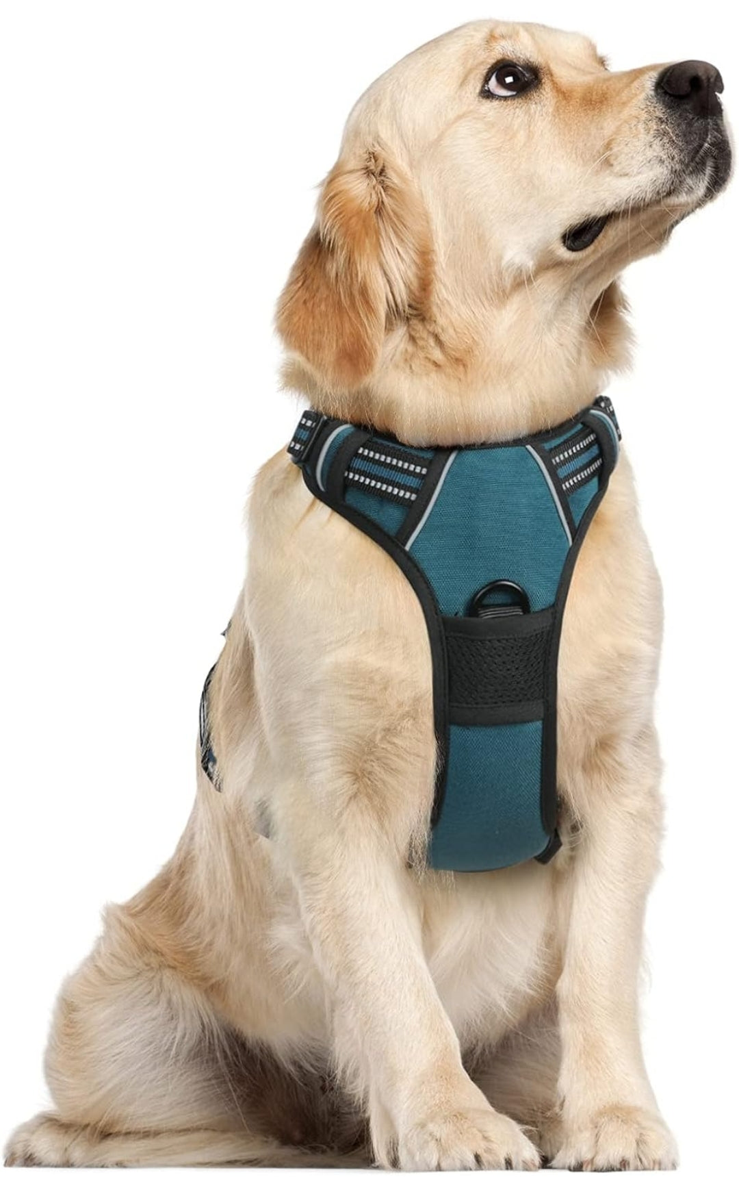 Rabbitgoo Dog Harness, No-Pull Pet Harness with 2 Leash Clips, Adjustable Soft Padded Dog Vest, Reflective No-Choke Pet Oxford Vest with Easy Control Handle