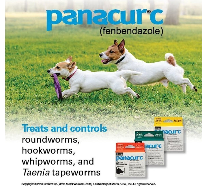 Panacur C Canine Dewormer, 1-g, 3 count