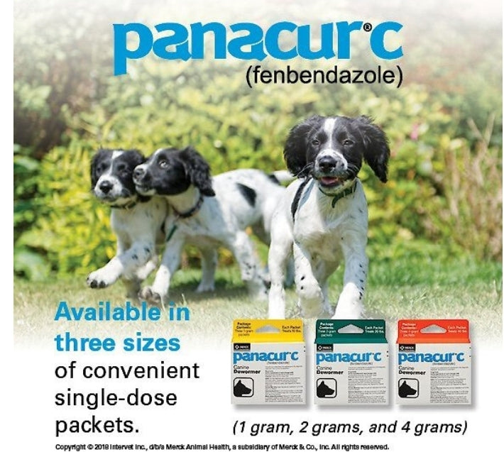 Panacur C Canine Dewormer, 1-g, 3 count