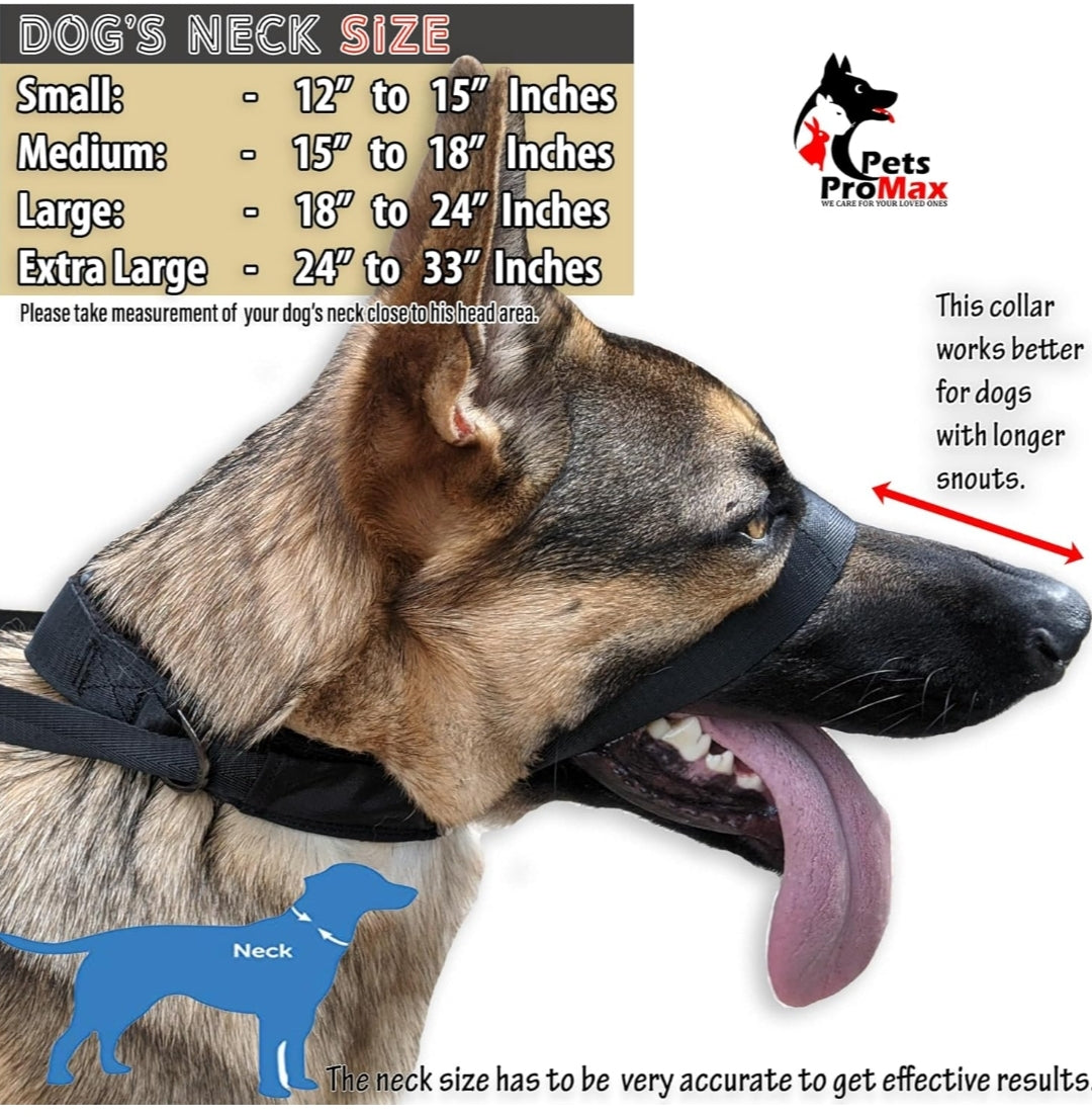 JVA  pro Dog Headcollar for Large Dogs (L), No-Pull Dog Collar for Large Dog. This No-Pull Dog Headcollar does not harm or hurt your dog and works better than under head pull collar; Dog Headcollar No Pull