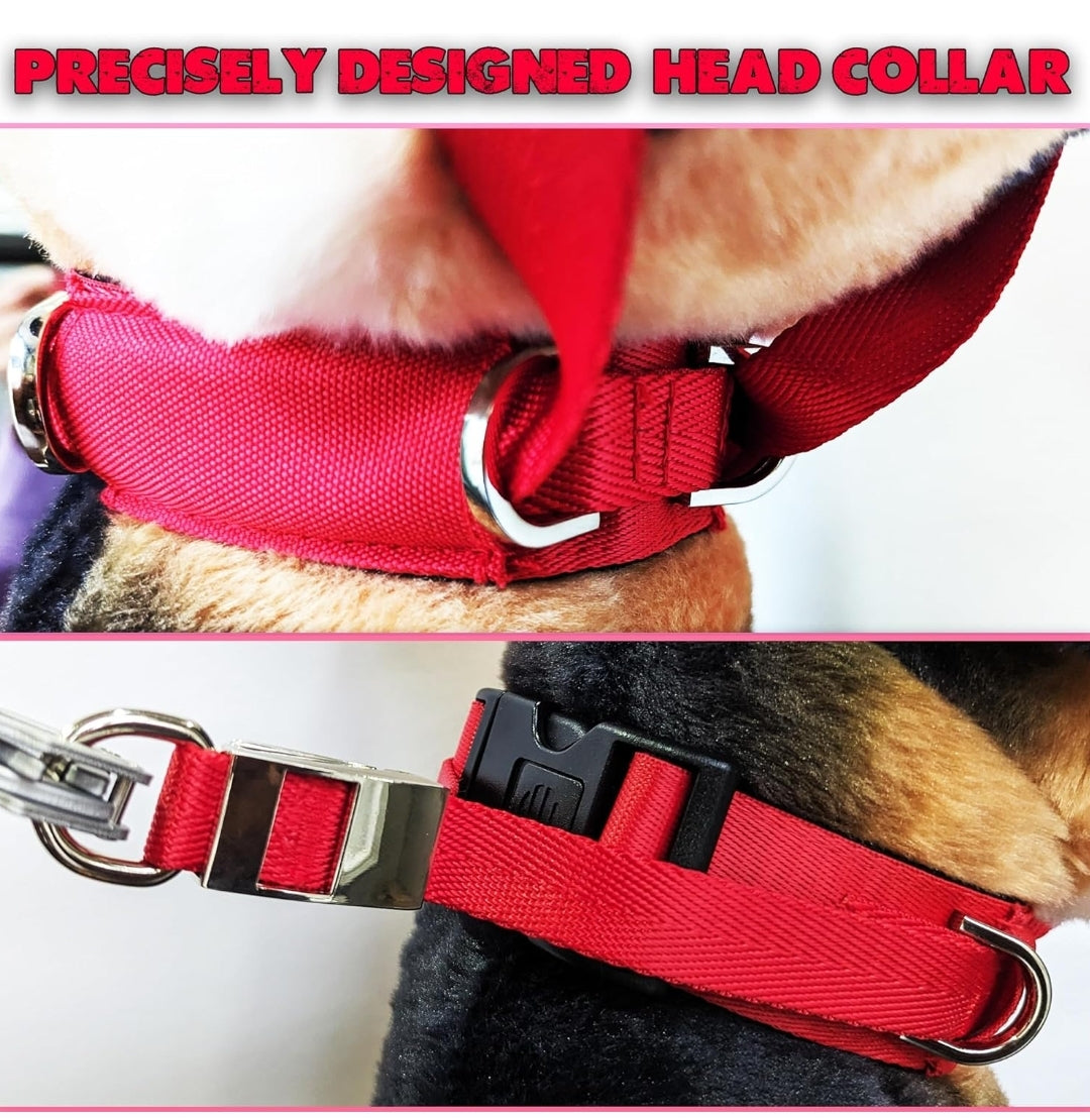 JVA  pro Dog Headcollar for Large Dogs (L), No-Pull Dog Collar for Large Dog. This No-Pull Dog Headcollar does not harm or hurt your dog and works better than under head pull collar; Dog Headcollar No Pull