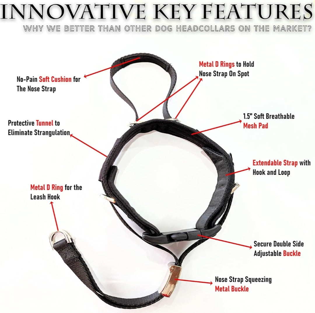 JVA  pro Dog Headcollar for Large Dogs (L), No-Pull Dog Collar for Large Dog. This No-Pull Dog Headcollar does not harm or hurt your dog and works better than under head pull collar; Dog Headcollar No Pull