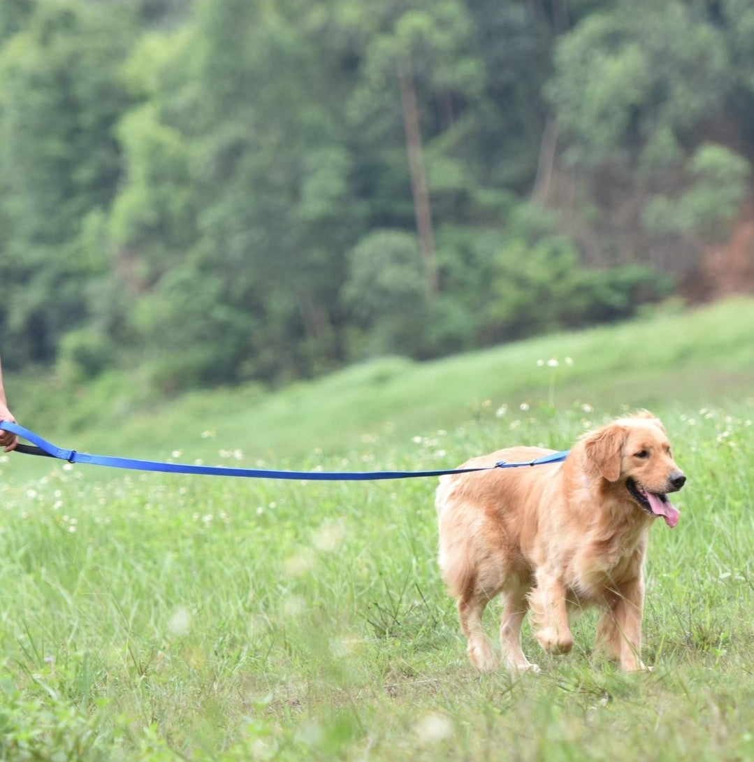 Hyhug Pets Adjustable 6 Feet Leash with Super Soft Neoprene Padded Handle - Heavy Duty Nylon Lead for Medium Large Giant Dogs Professional Training and Daily Use Walking. (Large, Blue)