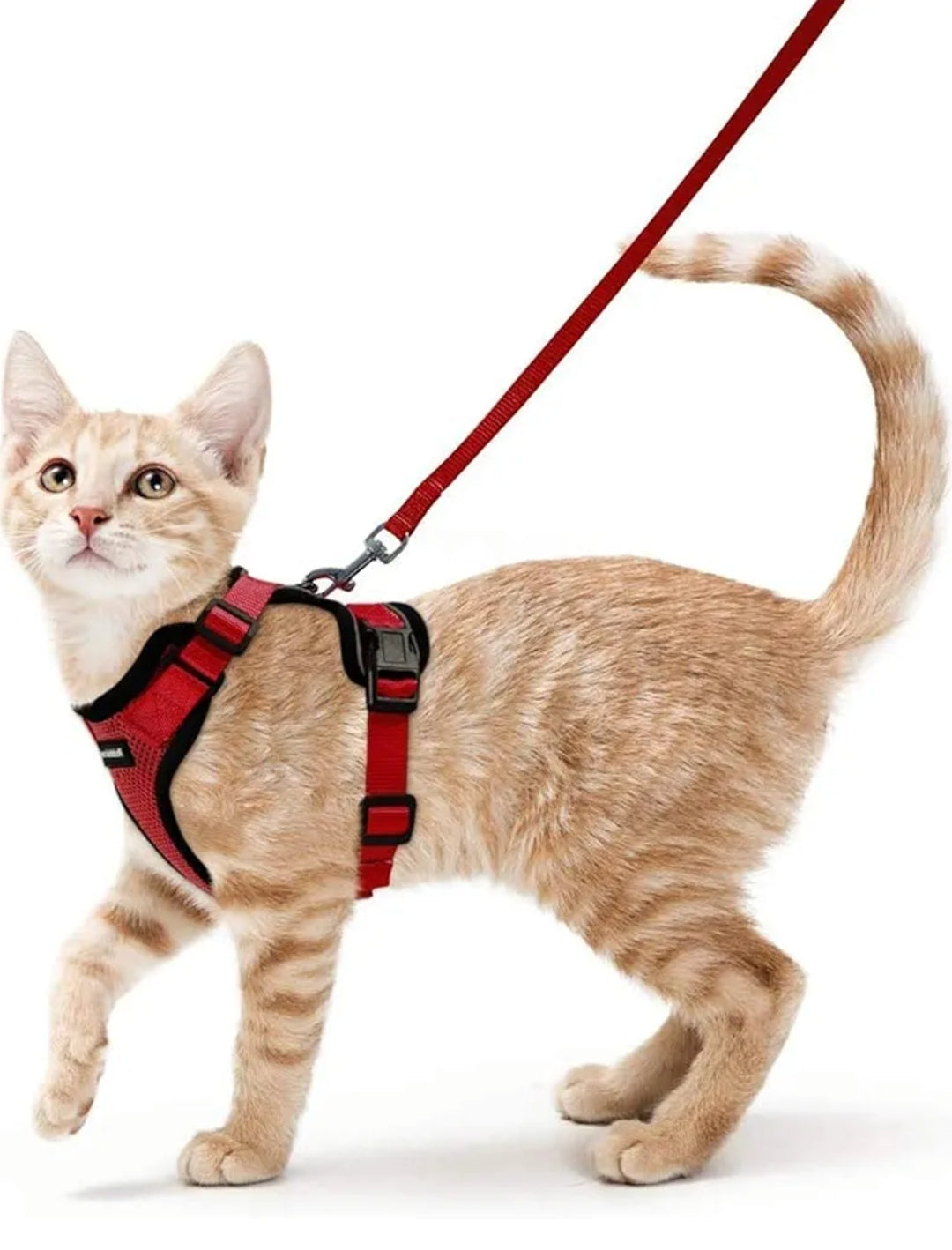 rabbitgoo Cat Harness and Leash for Walking, Escape Proof Soft Adjustable Vest Harnesses for Cats, Easy Control Breathable Reflective Strips Jacket