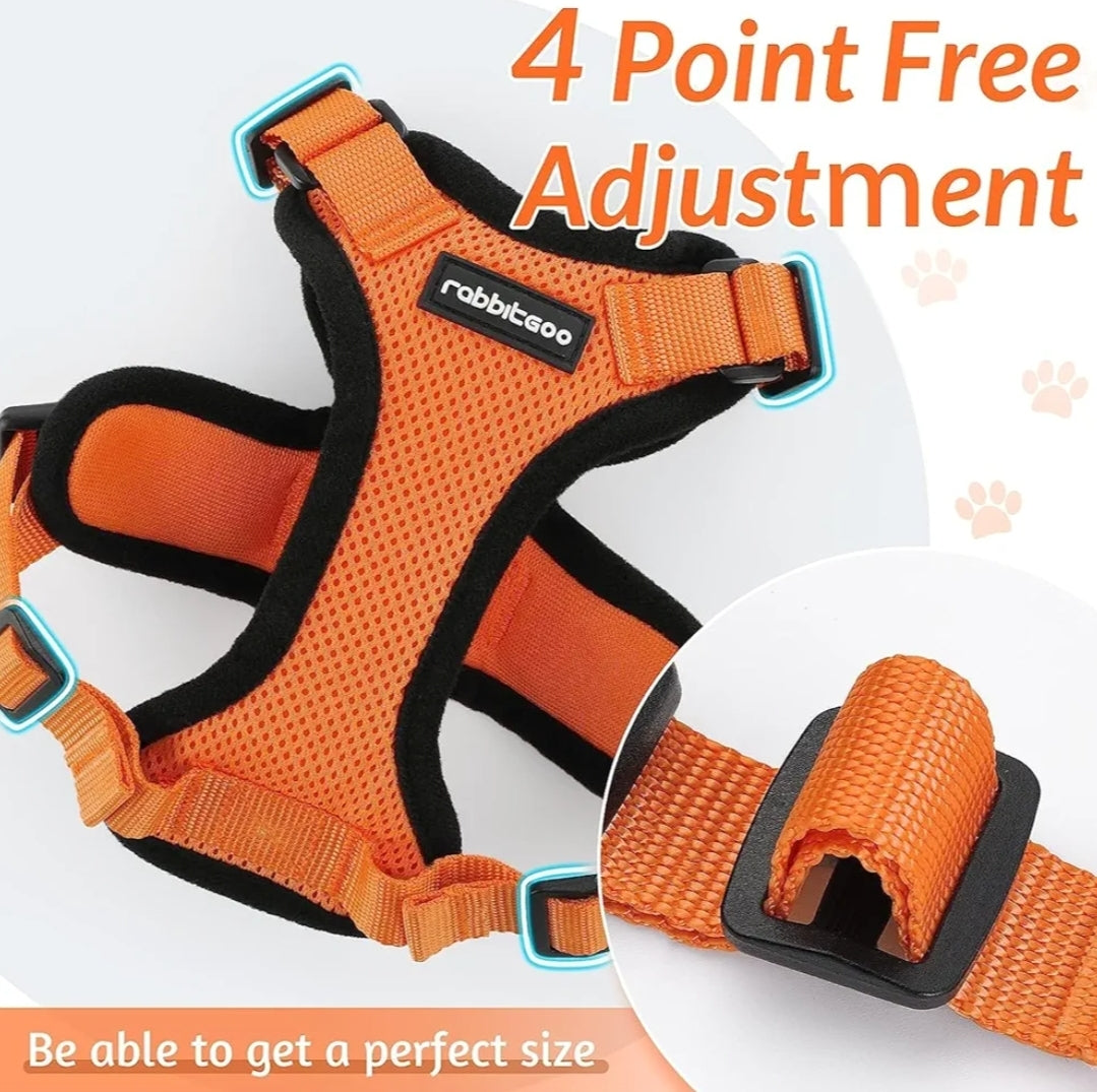 rabbitgoo Cat Harness and Leash for Walking, Escape Proof Soft Adjustable Vest Harnesses for Cats, Easy Control Breathable Reflective Strips Jacket