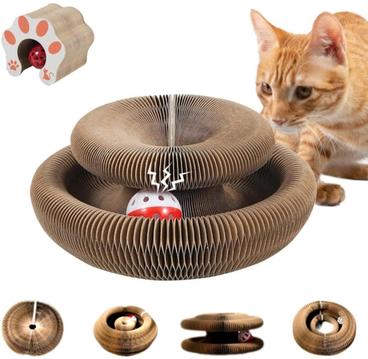 Cat Toy, Magic Organ Cat Scratch Board