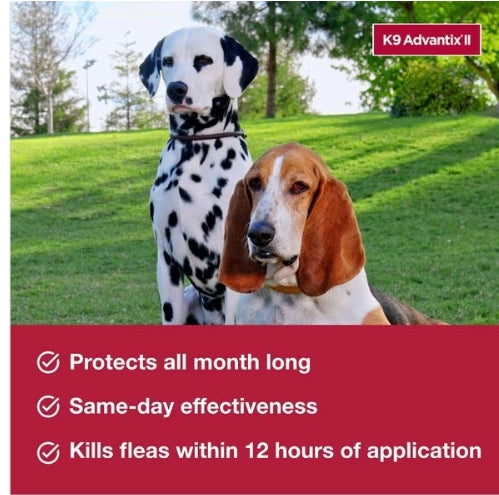 K9 Advantix II Vet-Recommended Flea, Tick & Mosquito Treatment & Prevention for Large Dogs, Count of 4