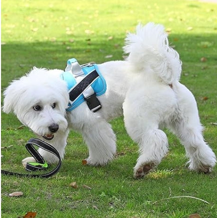 Bolux Dog Harness, No-Pull Reflective Dog Vest, Breathable Adjustable Pet Harness with Handle for Outdoor Walking - No More Pulling, Tugging or Choking (Oceanic Blue, Large (Pack of 1))