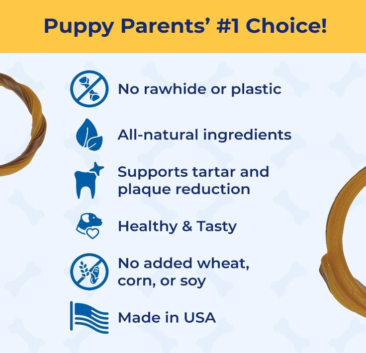 N-Bone Puppy Teething Ring Pumpkin Flavor, 3.6 Oz, 3 Rings