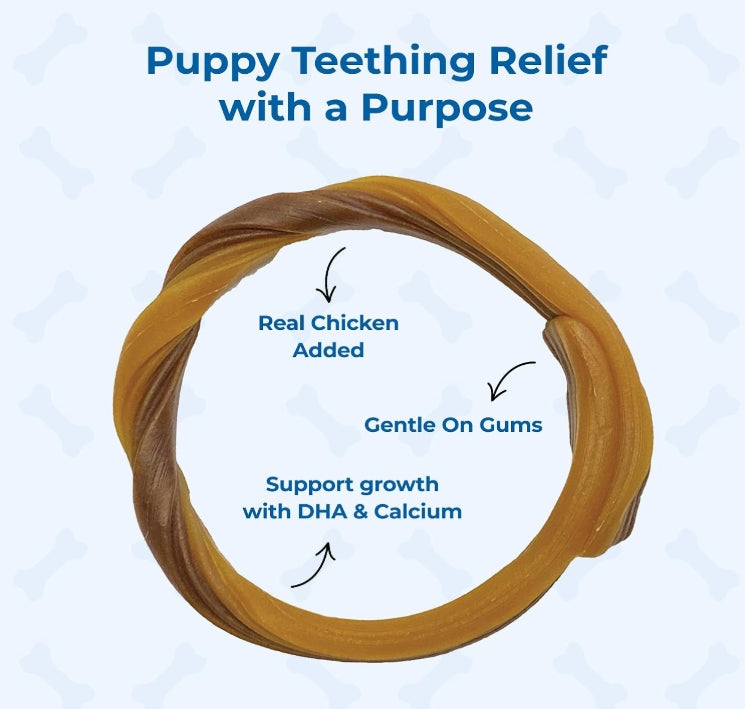 N-Bone Puppy Teething Ring Pumpkin Flavor, 3.6 Oz, 3 Rings